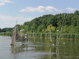 Langer See (Heidesee)-1