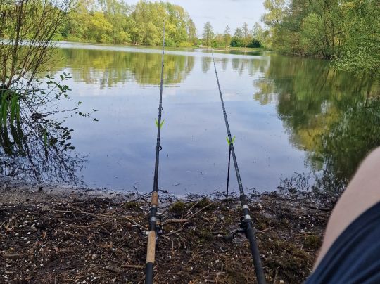 Bürgerpark Mosse (Bocholt)-2