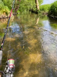 Pulsnitz (Königsbrück)