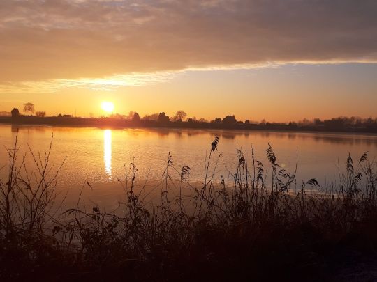 Jümmesee (Detern)-2