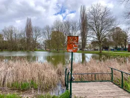 Frankenfelder Teich-1