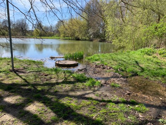 Frankenfelder Teich ALLE ANGELN