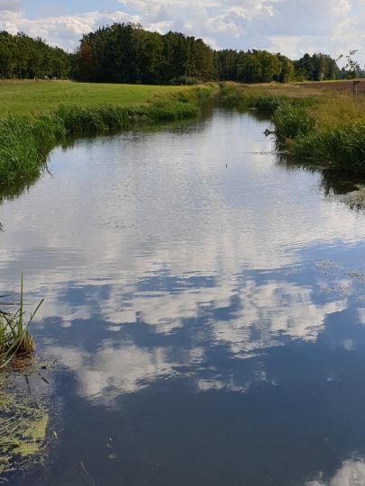 Hoyerswerdaer Schwarzwasser (Königswartha)-1