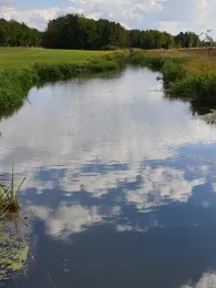 Hoyerswerdaer Schwarzwasser (Königswartha)-1