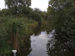 Mildenitz (Goldberg)-1