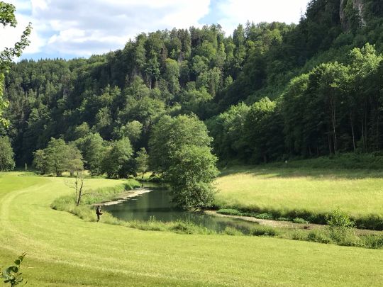 Wiesent (Gößweinstein)-1