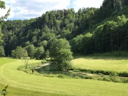 Wiesent (Gößweinstein)-1