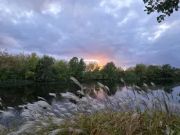 Wuhlebecken-3