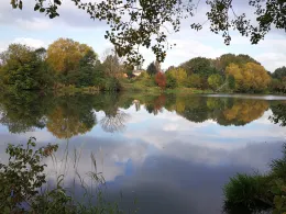 Wuhlebecken-4
