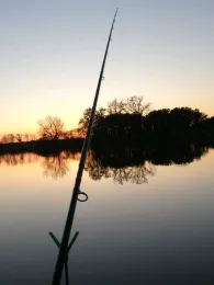 Mahlweiher (Seligenporten)