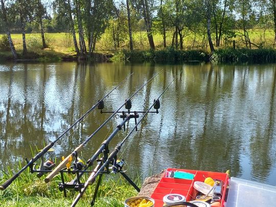 Bobritzscher Teich-3