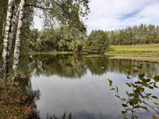 Bobritzscher Teich ALLE ANGELN
