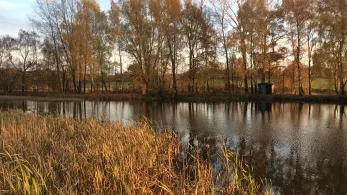 Bobritzscher Teich-4