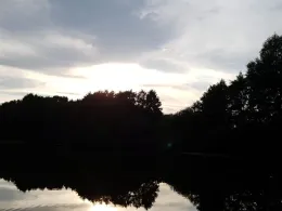 Teich am Kirchweg (Apen)-0