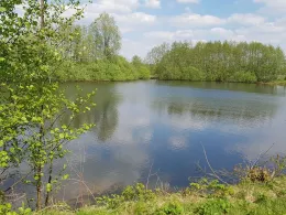 Teich am Kirchweg (Apen)