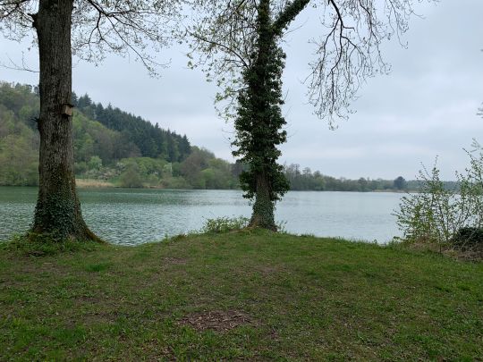 Steißlinger See-3