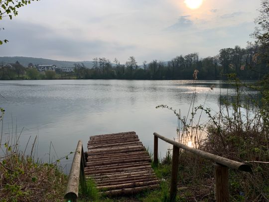 Steißlinger See-4