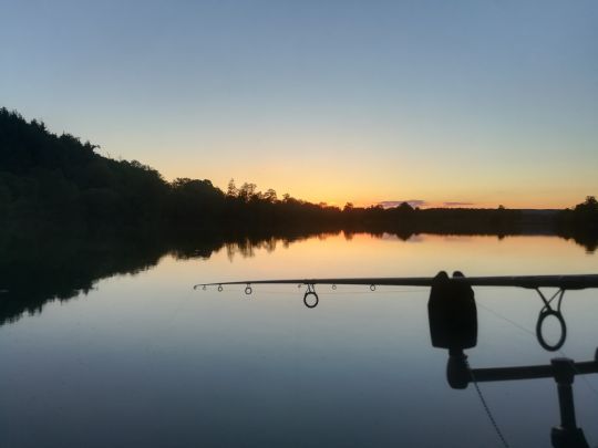 Steißlinger See-2
