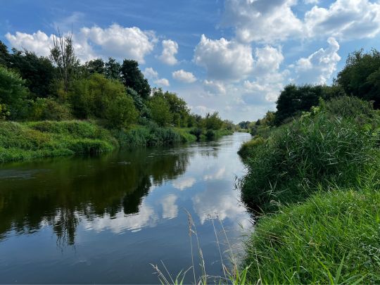 Lausitzer Neiße (Guben)-2