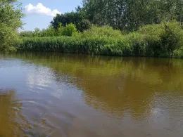 Lausitzer Neiße (Guben)-1