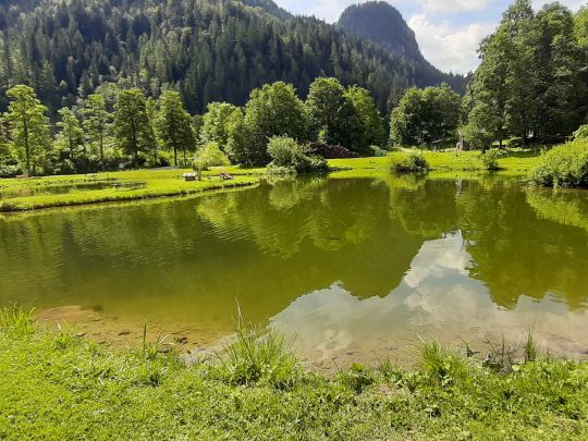 Fischteich Fürstenbrunn