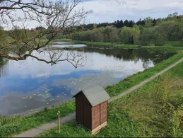 Eulenspiegler Teich-1