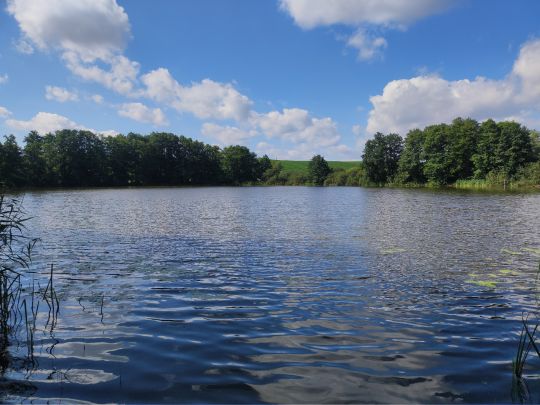 Wilsener See-1