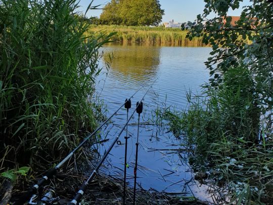 Geeste (Bremerhaven)-3