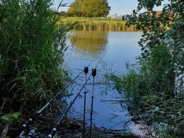 Geeste (Bremerhaven)-3