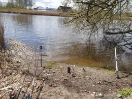 Geeste (Bremerhaven)-1