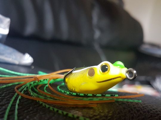 Geeste (Bremerhaven)-2