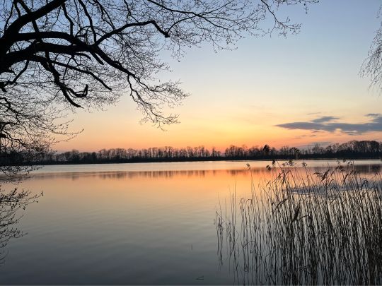 Großer Stadtsee (Penzlin)