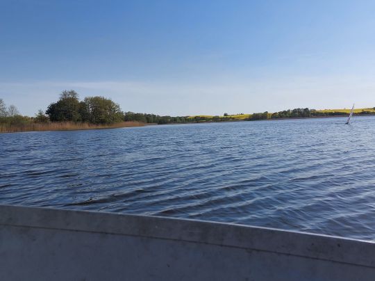 Großer Stadtsee (Penzlin)-4