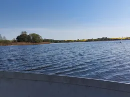 Großer Stadtsee (Penzlin)-4