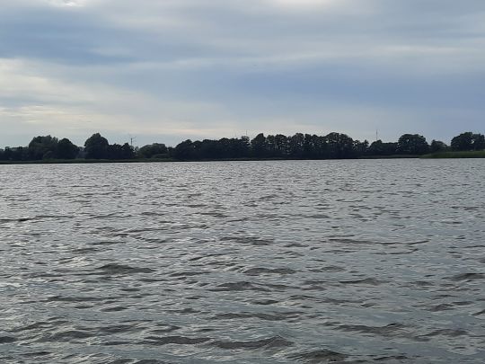 Großer Stadtsee (Penzlin)-3