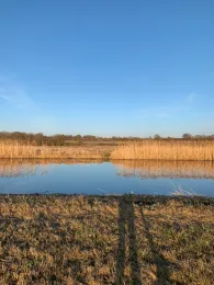 Tollense (Klempenow)