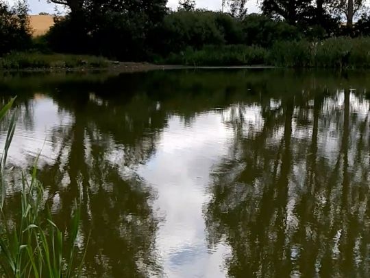 Badeteich 1 (Lübow)-1