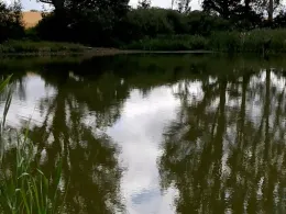 Badeteich 1 (Lübow)-1