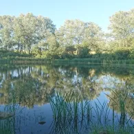 Badeteich 1 (Lübow)