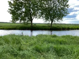 Hamme (Ritterhude)-3