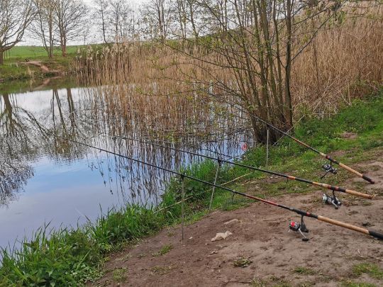 Alte Kiesgrube Wittenbeck-1