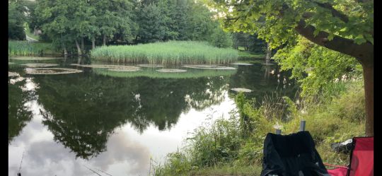 Alte Kiesgrube Wittenbeck-4