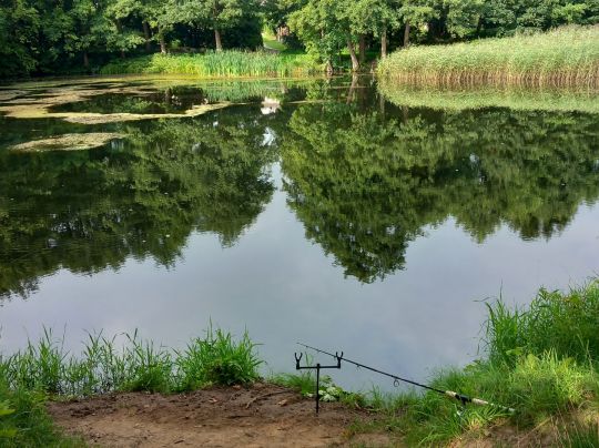 Alte Kiesgrube Wittenbeck-2