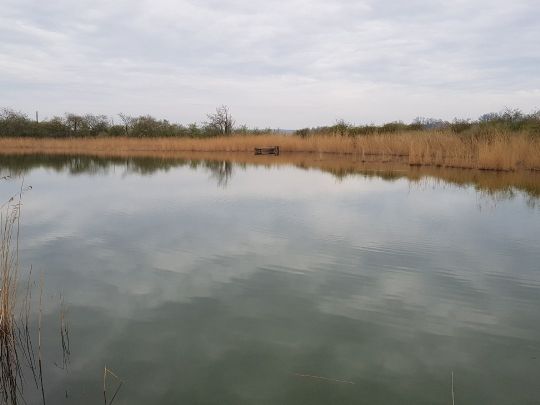 Blaues Tonloch (Salzmünde)-2