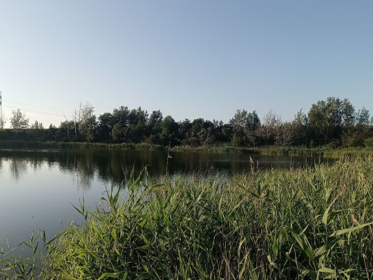 Blaues Tonloch (Salzmünde)