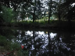 Weißer Schöps (Markersdorf)