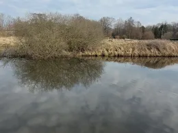 Forellenhof Niemegk (Werdermühle)