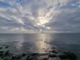 Ostseeküste  (Fischleger Strand)-1