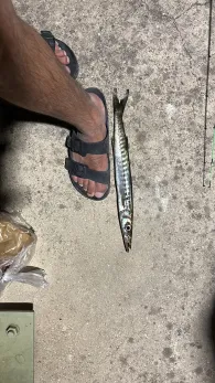 Ionisches Meer (Paleokastritsa)