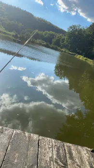 Teichanlage Heilsbach (Braunfels)